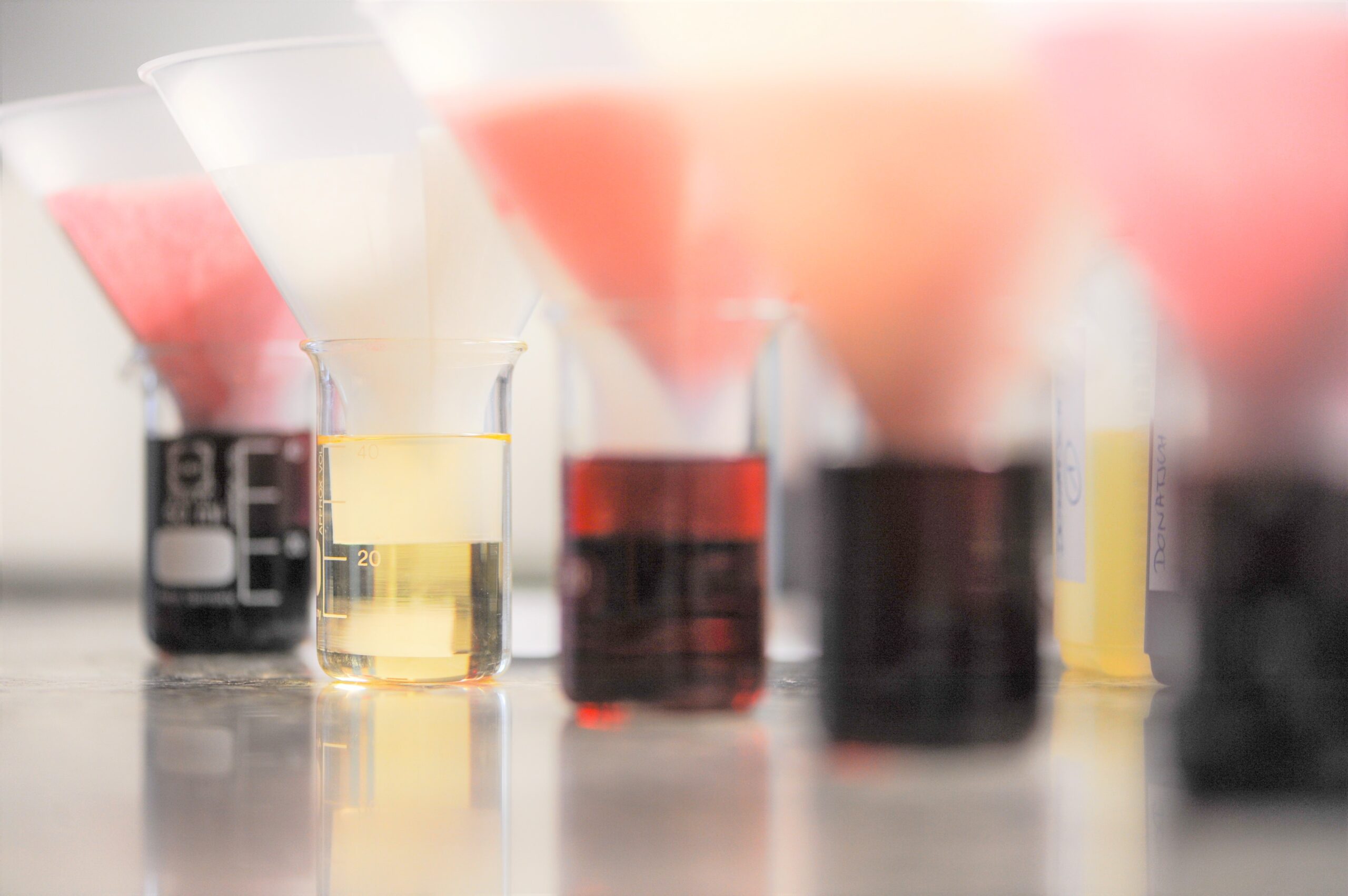 filtration der proben durch glasfaser